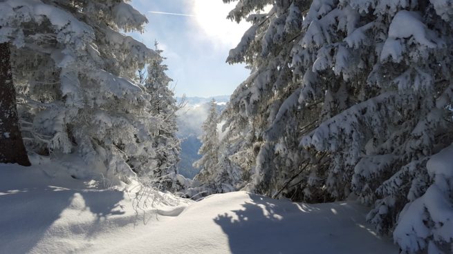 TellurideJetCharter