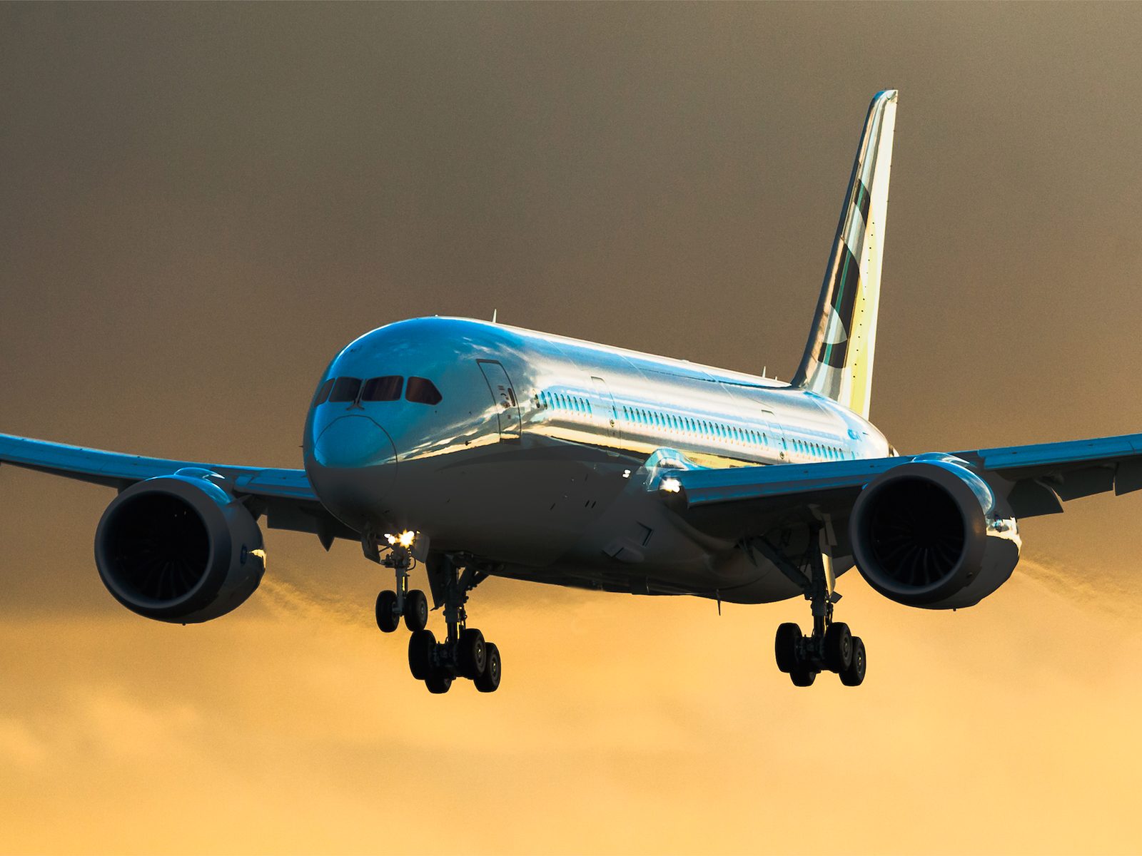 Boeing Business Jet (BBJ) vip airliner for Colorado charter